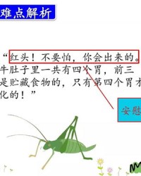 猎肚怎么组词