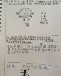 蚂是怎么组词