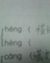 群鸟怎么组词