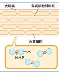 仔细仔怎么组词