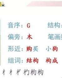 撞组词两个字(饱组词两个字)