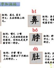 泡毛的毛怎么组词