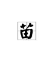 树字偏旁组词怎么组