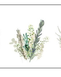 叶子组词(子组词)