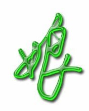 娘的娘字怎么组词