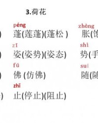 将字的组词(什组词 两个字)