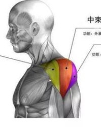 哑铃怎么练超级组词