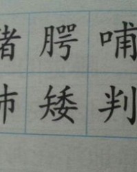 的偏旁还有组词怎么写