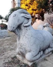 漂洋的羊怎么组词