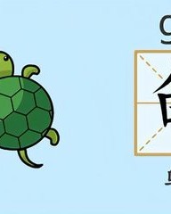 龟的拼音组词(龟的拼音与组词)