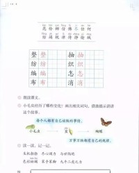 课本的本本的组词怎么组