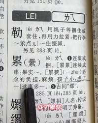 字典玩怎么组词
