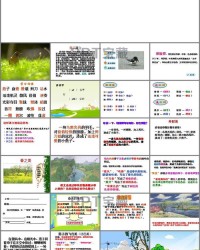 燕子组词语