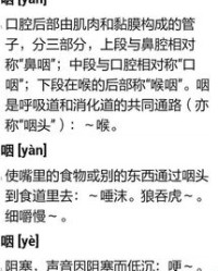 殿字怎么读组词语