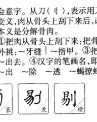 剔的拼音和组词(剔的拼音和组词和偏旁)