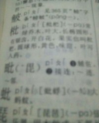 立刀旁的盛怎么组词