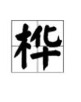 怎么组词桦