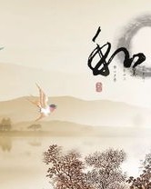 白芍的的迪怎么组词