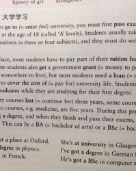 莱组词语有哪些(莱组词语词语)