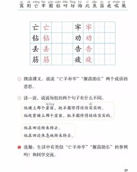 寓言二则则怎么组词