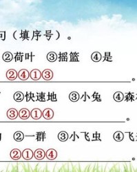 双组词
