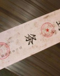 枝条怎么组词直条