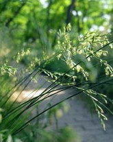 怎么组词勃