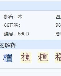 道路要怎么组词呀