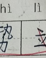 双怎么组组词