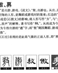 属组词和拼音(属的拼音和组词组)