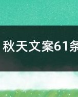 与共的雨怎么组词