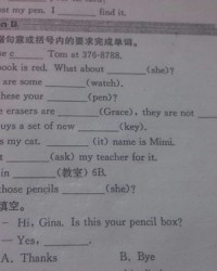 荷叶的叶怎么写怎么组词