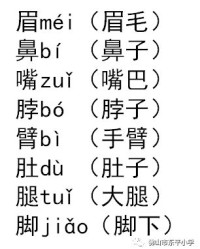 怎么组词弟
