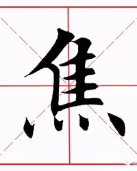 焦加偏旁组词(焦加偏旁组词什么动)