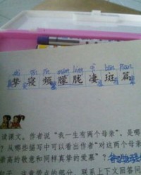 新生的拼音怎么组词