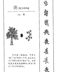 丧桑怎么组词
