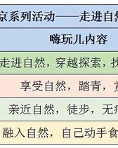 爪子的爪组词怎么组词