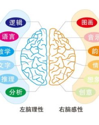 眠组词有哪些(眠组词有哪些呢)