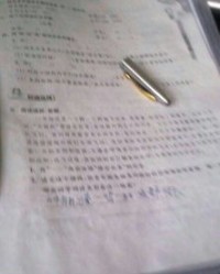 鸟的组词怎么写