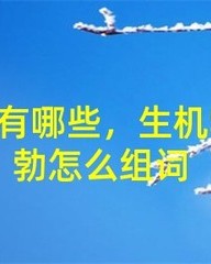 怒怎么组词(怒怎么组词和部首)