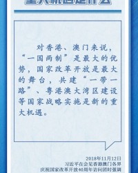 小度做的做怎么组词