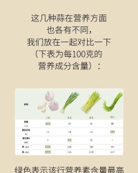 蒜能怎么组词