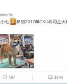 枸杞的狗可以怎么组词