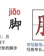 播放的拼音怎么组词