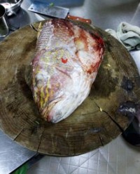 鱼跟粥怎么组词啊