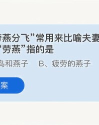 燕的组词是什么(燕的组词是什么啊一年级)