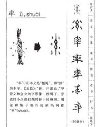 率怎么组词读