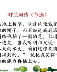 风的组词是什么(风的组词是什么风的组词)