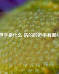 朱的形近字组词(朱的形近字组词和拼音)