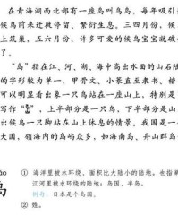 岛怎么组词